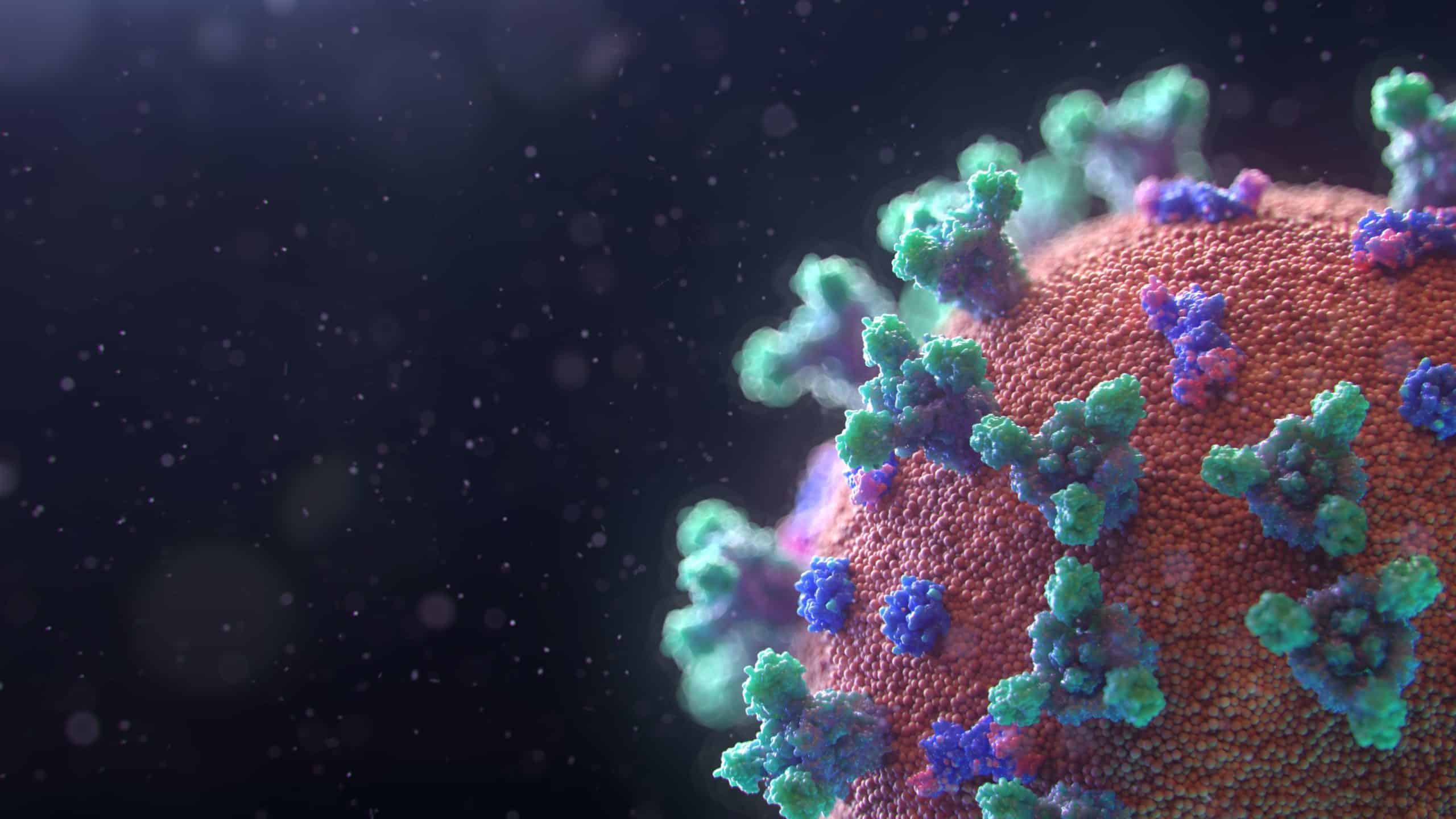 3d image of coronavirus